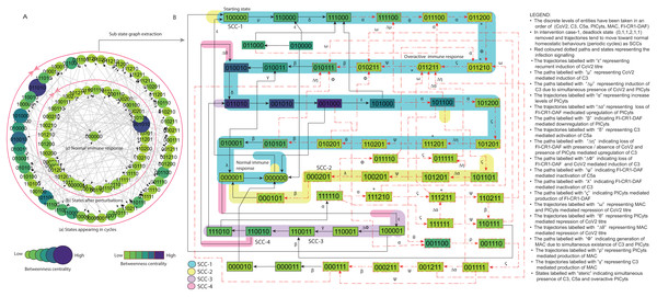 State graph and extracted sub state graph of complement system signalling for the case-1 (intervention in C3 mediated upregulation of C5a and PICyts).