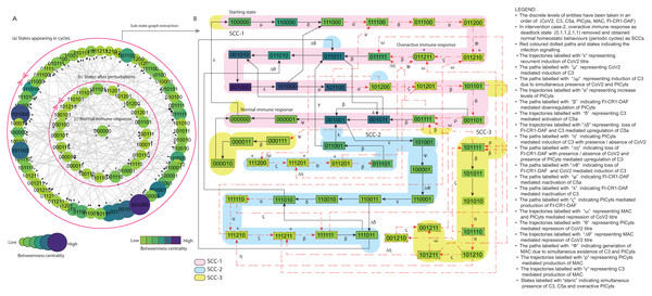 State graph and extracted sub state graph of complement system signalling for the case-2 (intervention in C5a mediated upregulation of PICyts).