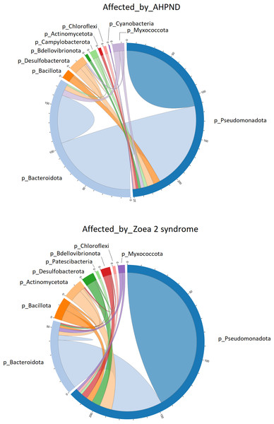 Co-occurrence network of bacterial communities present in the larval microbiome of samples collected from tanks affected by AHPND and zoea 2 syndrome.