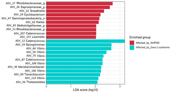Results of the linear discriminant analysis (LDA) with effect size (LEfSe) of the larval microbiome of samples collected from tanks affected by AHPND and zoea 2 syndrome.