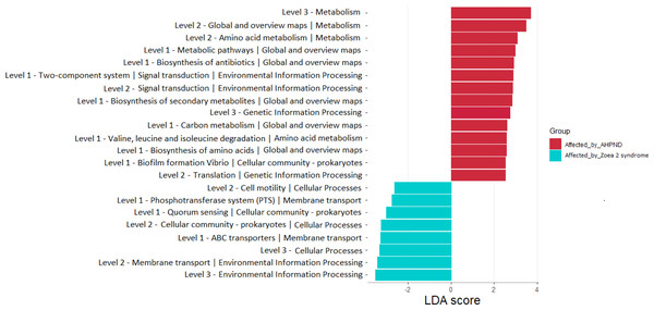 Functional pathways indicate differences between the microbiome of samples collected from tanks affected by AHPND and other zoea 2 syndrome.