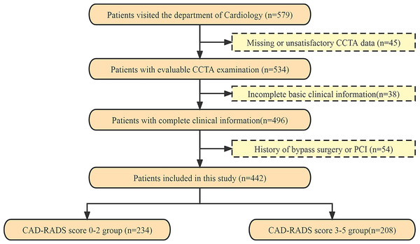 The flowchart of patients recruited in this study.