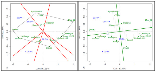 GGE biplot (A) and stability vs means (B) presenting of grain yield.