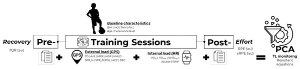 Training load monitoring using a prospective, observational and cross-sectional design.