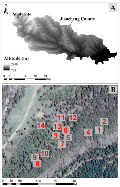 The study site location in Jiaocheng County (A). (B) Sampling plots (1–14) in Guandi Mountain, gray boxes indicate the 14 sampling areas.