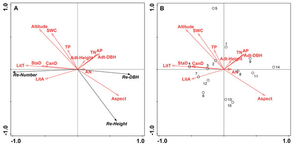 Ordination diagram of the redundancy analysis (RDA) results of topographic factors, stand structure, soil properties, and litter in sample plots.