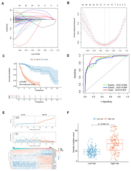 LASSO analysis and to evaluate and validate the predictive performance of genomic instability-related lncRNA signature (GIrLncSig) on the overall survival of GC patients in the training set.