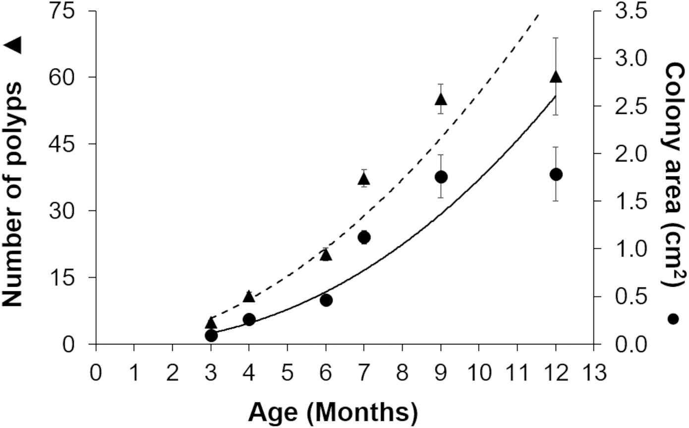 Long-term survival, growth, and reproduction of Acropora palmata sexual ...