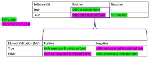 Confusion matrices used in the frame of the performance testing for SNPs detection.