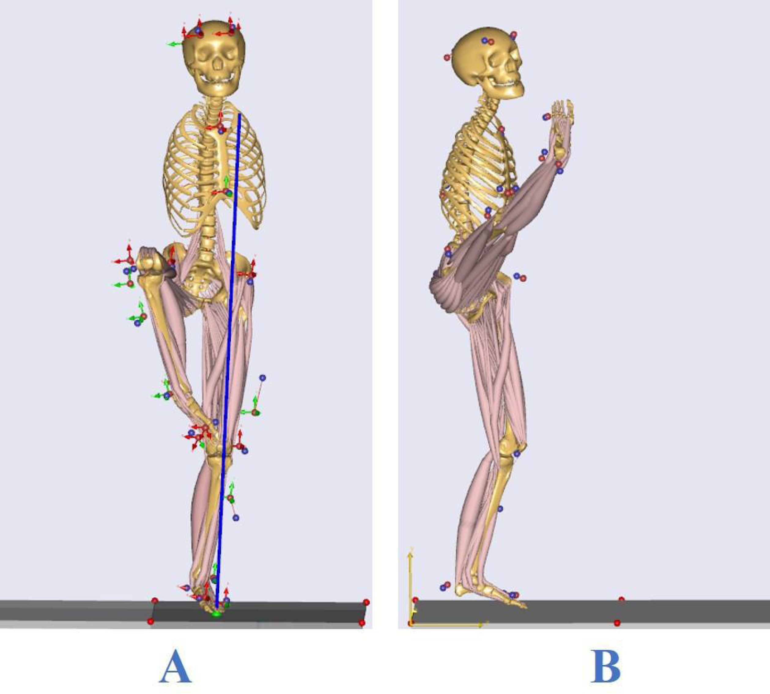 Full body marker set in (A) anterior (B) right lateral (C