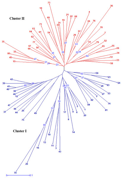 Cross species/genera transferability of simple sequence repeat markers ...