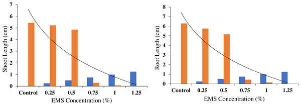 Effect of different concentrations of EMS mutagenesis on root and shoot growth of fragrant rice.