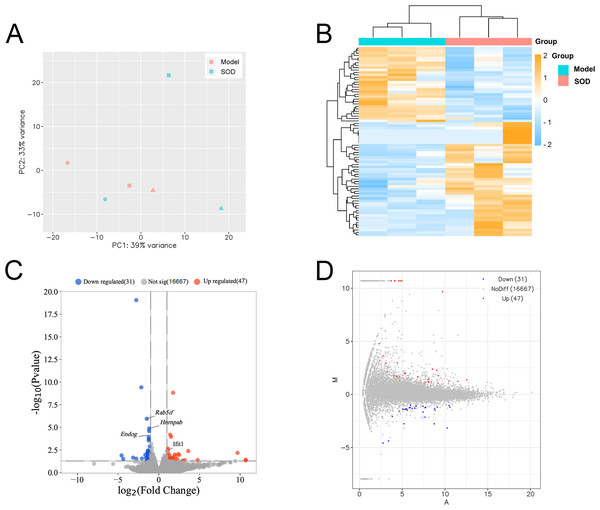 Liver transcriptome analysis in mice with hepatic inflammation (n= 3).