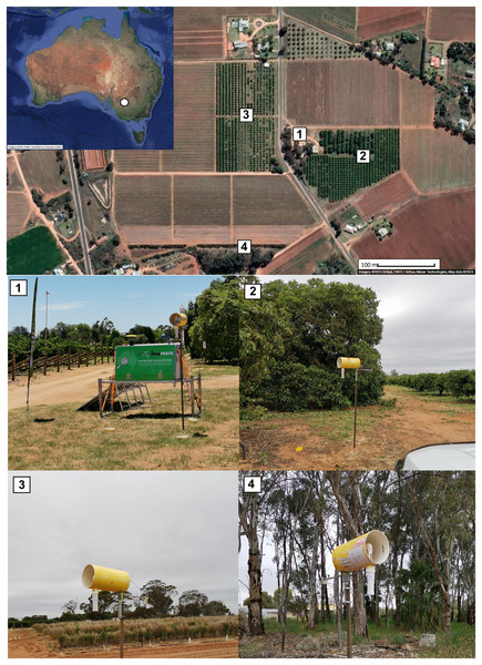 Map of trial location at the SuniTAFE Smart Farm (Meringa, Victoria, Australia).
