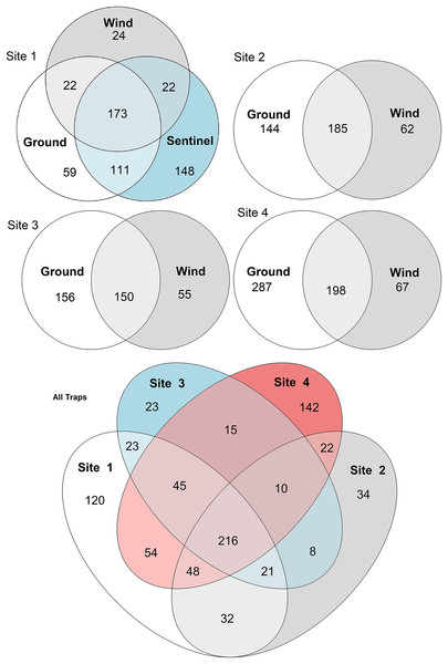 Venn diagrams of species diversity across traps and sites.