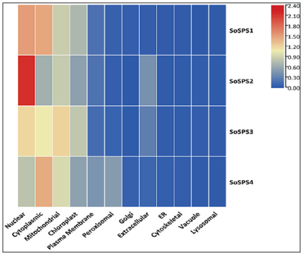 Subcellular expression of SoSPS.