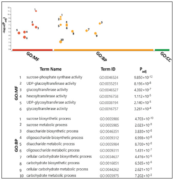 Gene ontology analysis of SoSPS.