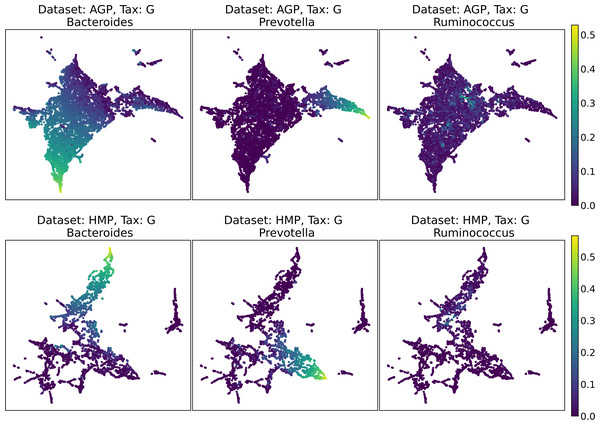 2D UMAP visualization of AGP and HMP datasets for the Genus taxonomy level.