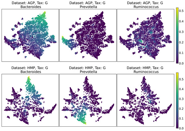2D t-SNE visualization of AGP and HMP datasets for the Genus taxonomy level.