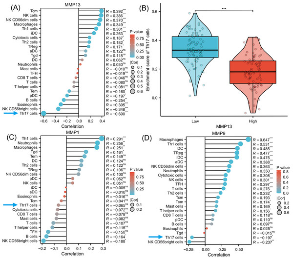 Immune infiltration analysis of MMPs.