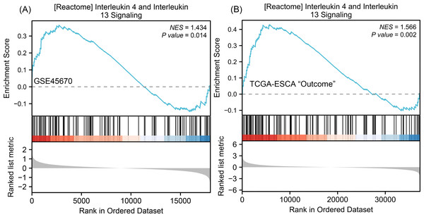 GSEA classic visualization of IL4/IL13 signaling pathway from two datasets.