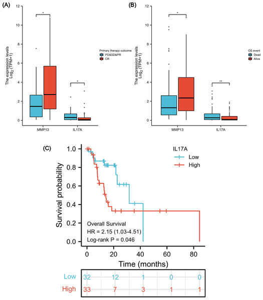 Association between IL-17A Expression, Clinical Variables, and Prognosis.