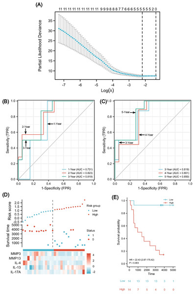 A five-gene immune-related prognostic signature construction.