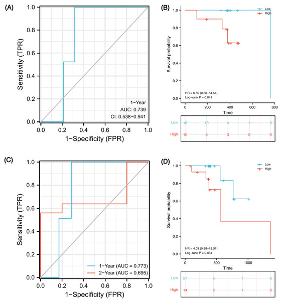 Validation of the prognostic signature in two external cohorts.