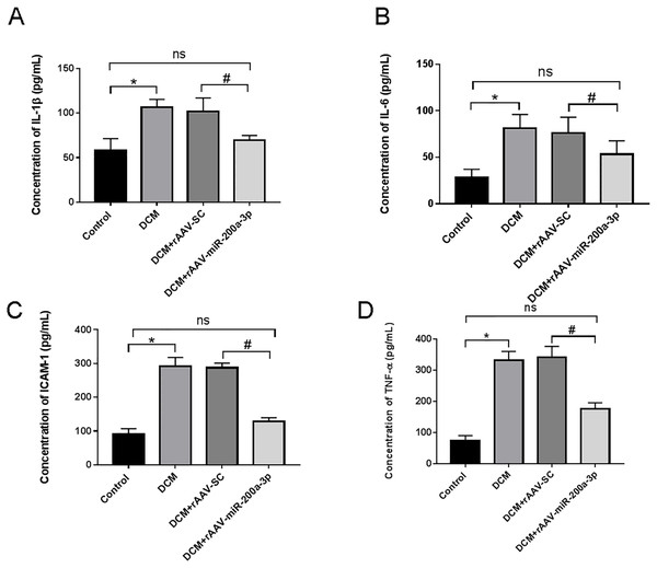 miR-200a-3p reduced diabetes induced-proinflammatory cytokine expression.