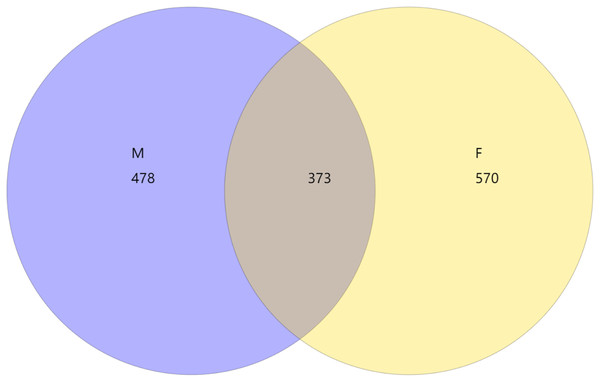 Venn diagram of OTU of 0.97 of male (M) and female (F) mealybugs.