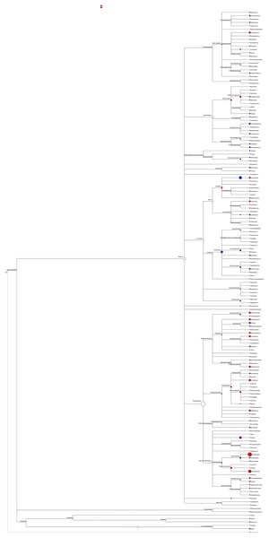 Phylogeny and relative abundance of species detected in male and female mealybugs.