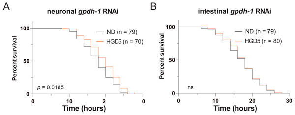 Intestinal GPDH-1 is required for HGD5 induced lifespan extension in aged worms.