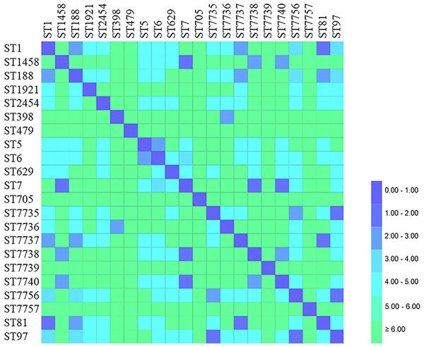Distance matrix showing genetic relationship between classes of sequence typing (ST).