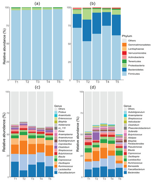 Stacked bar plots showing general microbiota profile at phylum and genus level.