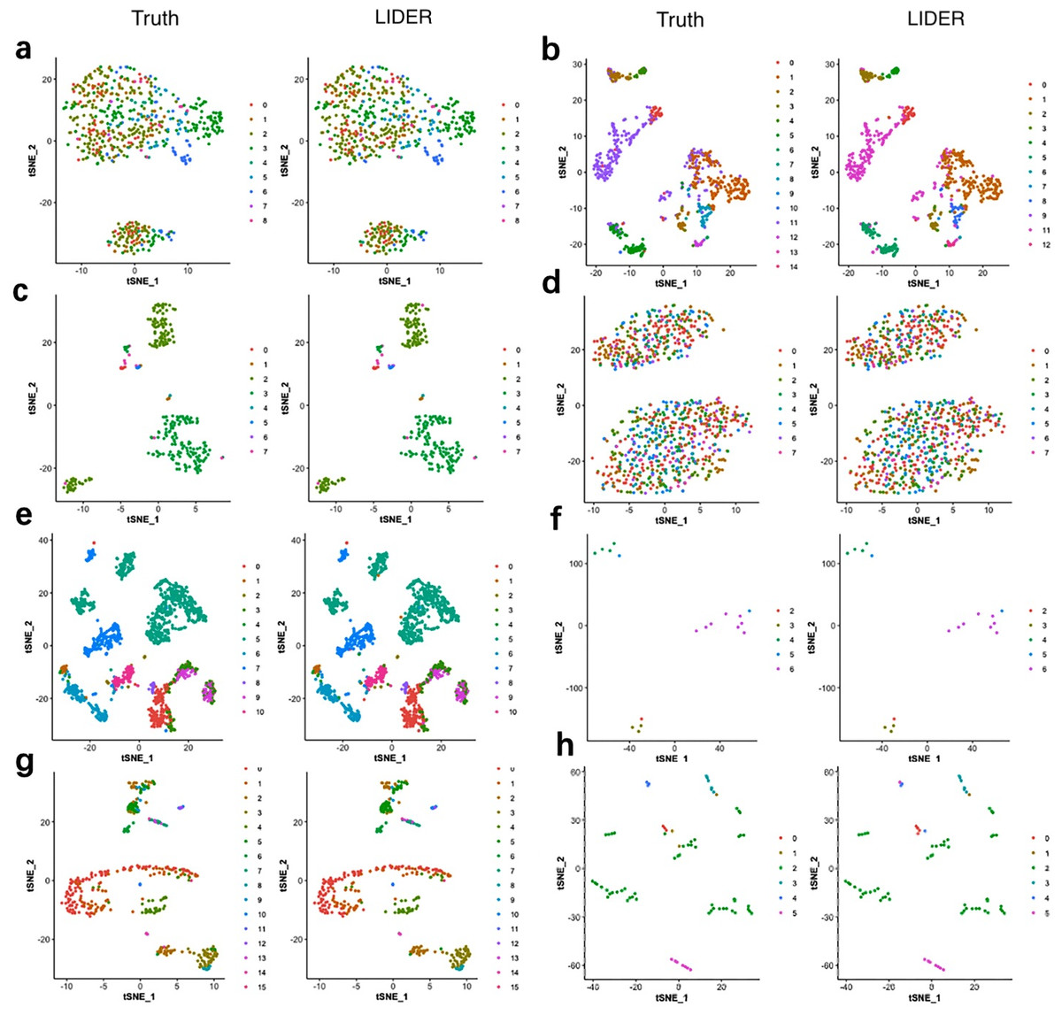 LIDER: Cell Embedding Based Deep Neural Network Classifier For ...