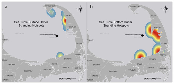 Stranding hotspots for sea turtle-shaped drifters in Cape Cod Bay, Massachusetts, 2019.