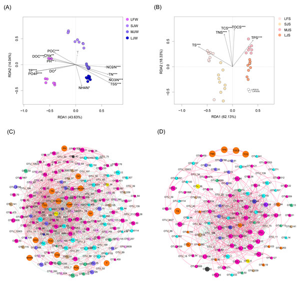 RDA profiles (A and B) and co-occurrence networks (C and D) displaying correlation between pond environmental factors and water (A and C) and sediment (B and D) microbiota in different kinds of ponds cultured with different sizes of grass carp.