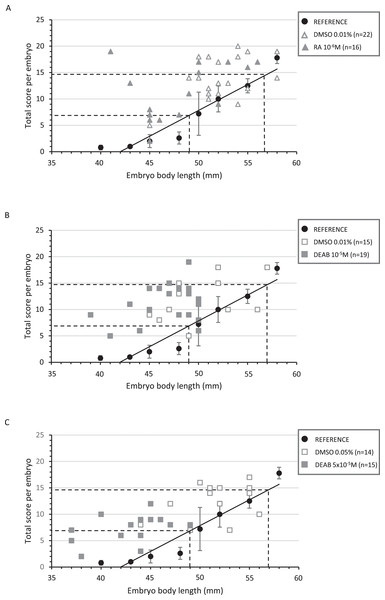 Correlation between the total score and the body length of treated embryos and their respective controls.