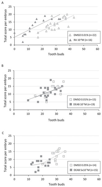 Correlation between total score and number of tooth buds in treated embryos and their respective controls.