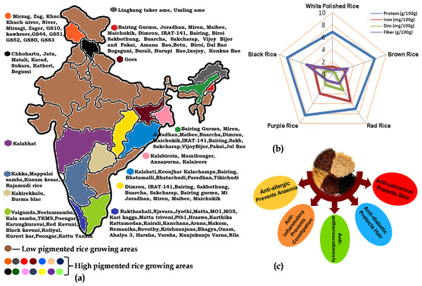 The importance of pigmented rice in India with respect to the (A) varieties cultivated in different parts; (B) elemental content in different coloured-rice and (C) different nutraceutical benefits of pigmented rice.
