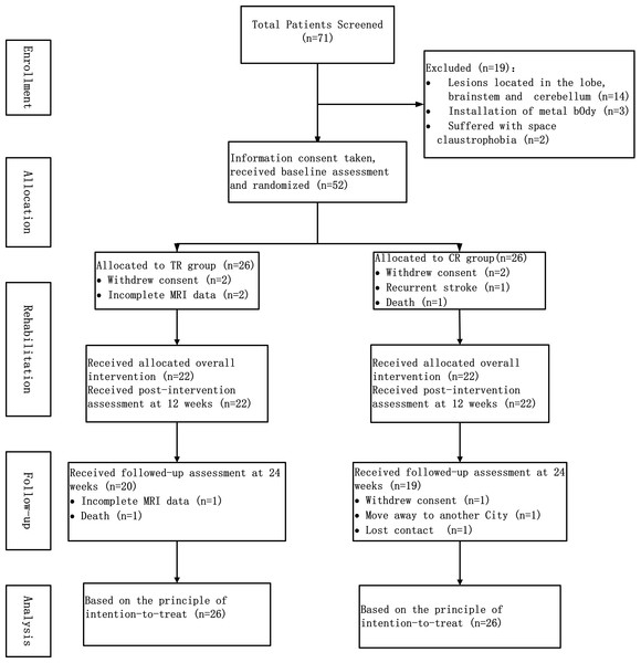 The flowchart of study.