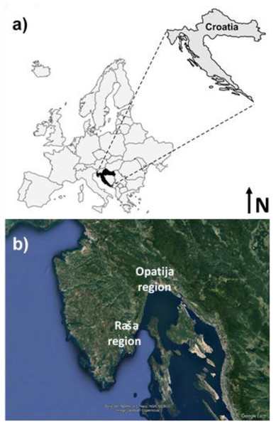Map of the study area, its geographical position (A) location of the Raša and Opatija regions (B) (Map data ©2022 Google Earth Pro).