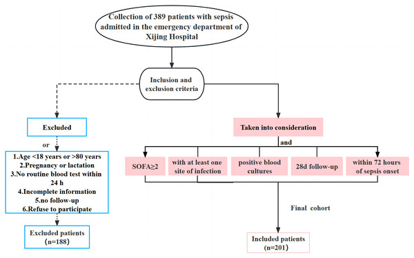 Flow chart of the clinical data collection for the patients with sepsis in the current study.