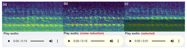 Audio Player and spectrogram.