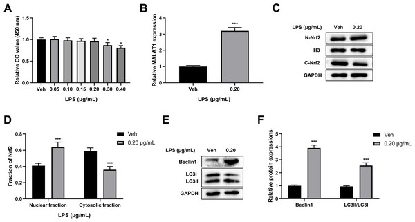 Low-dose LPS increases MALAT1 expression, activates autophagy, and induces Nrf2 nuclear translocation in PC12 cells.