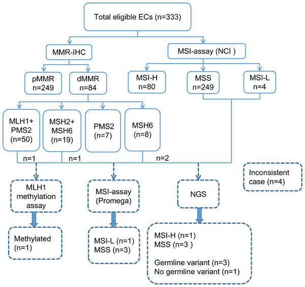 Flowchart of the study involving 333 eligible ECs.