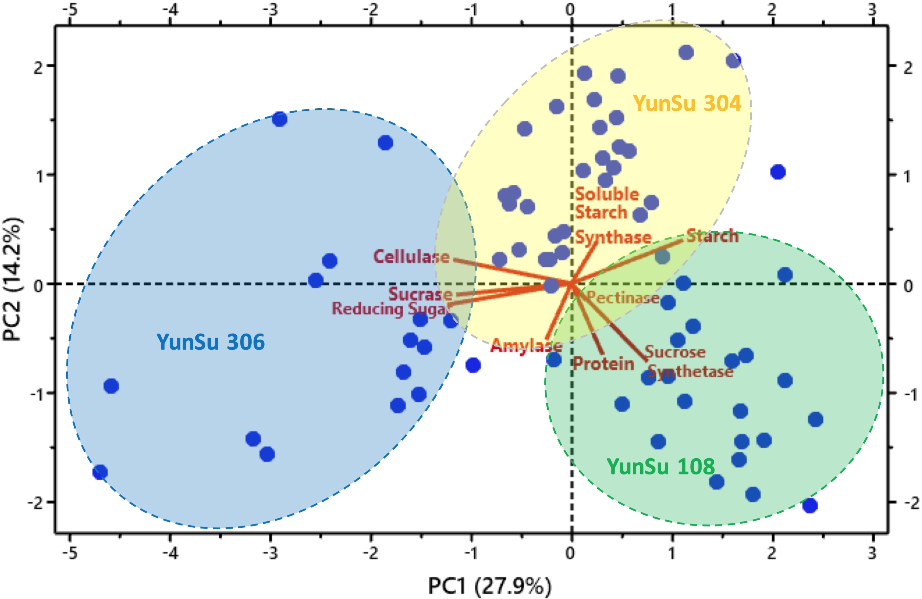 Impact of dormancy periods on some physiological and biochemical