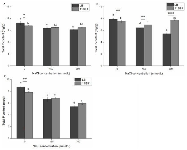 Effects of 11B91 on total phosphorus content of quinoa seedlings under salt treatment.