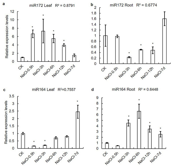 Expression levels of miR164 and miR172 in leaves and roots on saline-alkali stress.