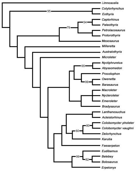Strict consensus of two most parsimonious cladograms of parareptile relationships (length 878 steps).